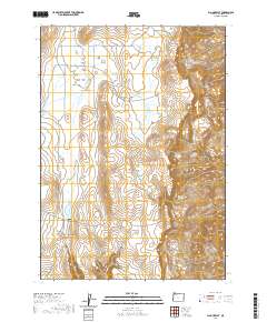 Big Mud Flat 2020 topographic map thumbnail