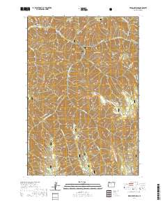 Bingham Springs 2020 topographic map thumbnail