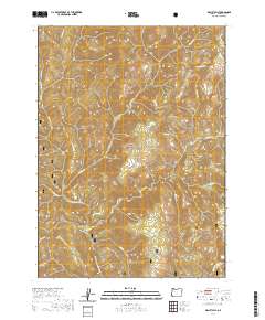 Biscuit Hill 2020 topographic map thumbnail