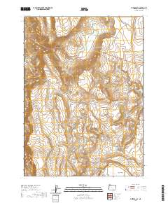 Blizzard Gap 2020 topographic map thumbnail