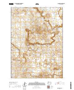 Bogus Bench 2020 topographic map thumbnail