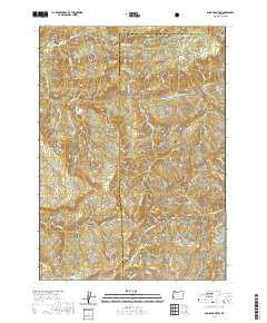 Bone Mountain 2020 topographic map thumbnail