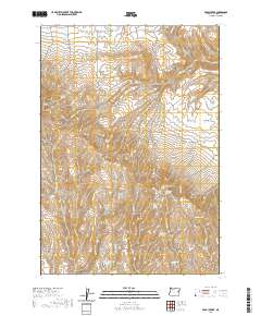 Brady Creek 2020 topographic map thumbnail