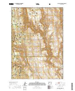 Buck Trough Spring 2020 topographic map thumbnail