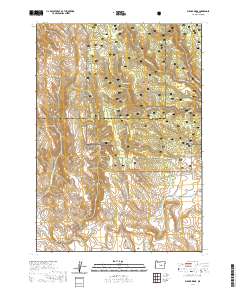 Bulger Ridge 2020 topographic map thumbnail