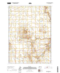 Burns Junction 2020 topographic map thumbnail