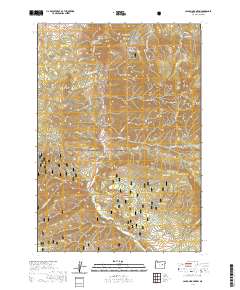 Canyon Mountain 2020 topographic map thumbnail