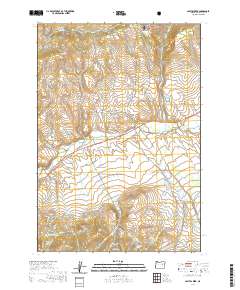Castle Creek 2020 topographic map thumbnail