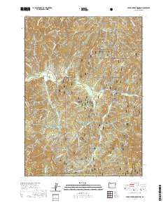 Cedar Springs Mountain 2020 topographic map thumbnail
