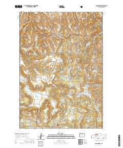 Chapin Creek 2020 topographic map thumbnail