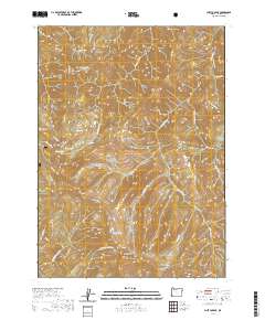 Chetco Peak 2020 topographic map thumbnail