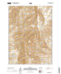Chicken Spring 2020 topographic map thumbnail