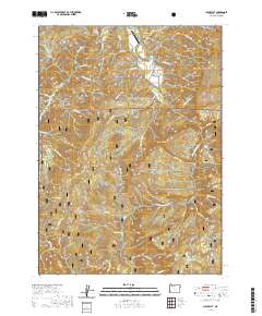 China Flat 2020 topographic map thumbnail