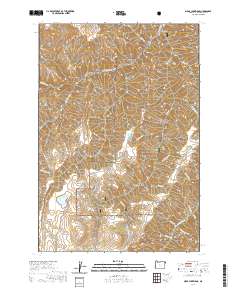Clear Lake Ridge 2020 topographic map thumbnail
