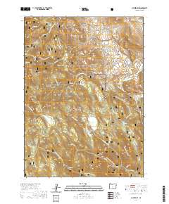 Clover Flat 2020 topographic map thumbnail