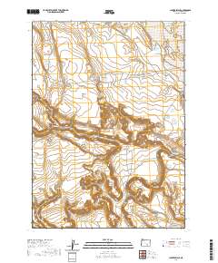 Clover Swale 2020 topographic map thumbnail