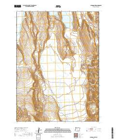 Coleman Lake 2020 topographic map thumbnail