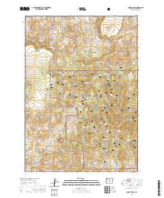 Conant Basin 2020 topographic map thumbnail