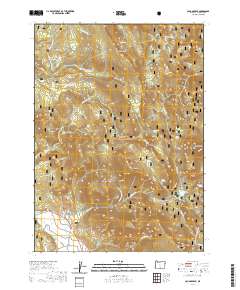 Cougar Peak 2020 topographic map thumbnail