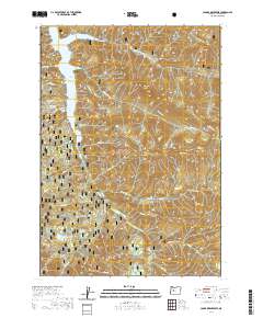 Cougar Reservoir 2020 topographic map thumbnail