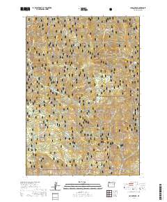 Cougar Rock 2020 topographic map thumbnail