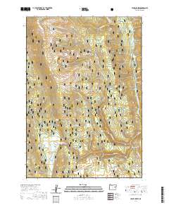 Crane Prairie 2020 topographic map thumbnail