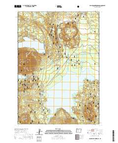 Crane Prairie Reservoir 2020 topographic map thumbnail