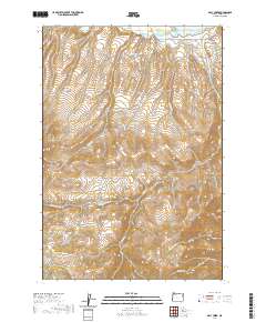 Daly Creek 2020 topographic map thumbnail