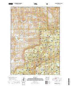 Delintment Lake 2020 topographic map thumbnail