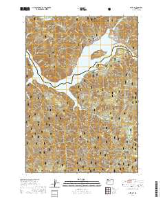 Detroit 2020 topographic map thumbnail