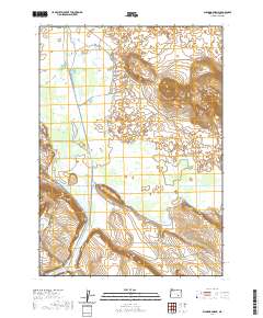 Diamond Swamp 2020 topographic map thumbnail