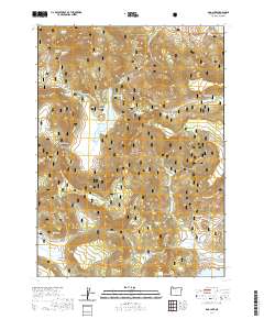 Dog Lake 2020 topographic map thumbnail
