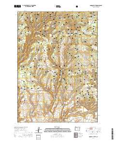 Donnelly Butte 2020 topographic map thumbnail