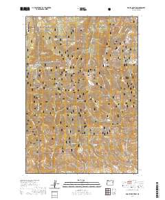 Dooley Mountain 2020 topographic map thumbnail