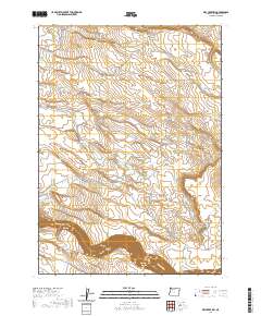Dry Creek Rim 2020 topographic map thumbnail