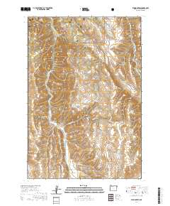 Elk Mountain 2020 topographic map thumbnail