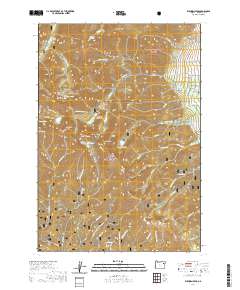 Elkhorn Peak 2020 topographic map thumbnail