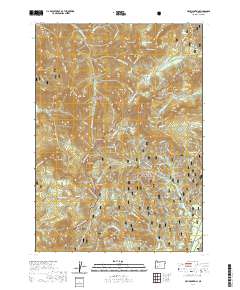Fish Mountain 2020 topographic map thumbnail