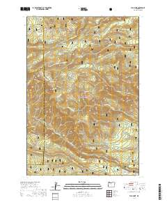 Flag Point 2020 topographic map thumbnail