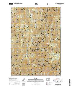 Flagtail Mountain 2020 topographic map thumbnail