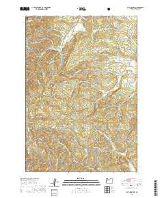 Flat Mountain 2020 topographic map thumbnail