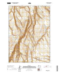 Flybee Lake 2020 topographic map thumbnail