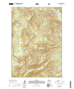 Fort Butte 2020 topographic map thumbnail