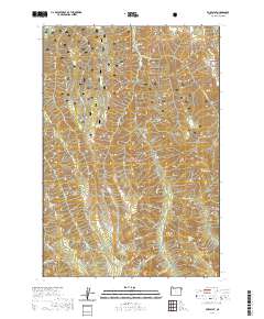 Fox Point 2020 topographic map thumbnail
