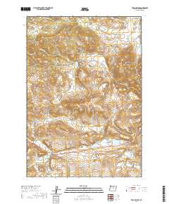 Frog Hollow 2020 topographic map thumbnail