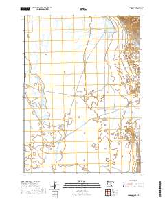 Garrison Lake 2020 topographic map thumbnail