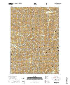 Goodwin Peak 2020 topographic map thumbnail