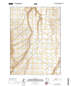 Grasshopper Flat North 2020 topographic map thumbnail