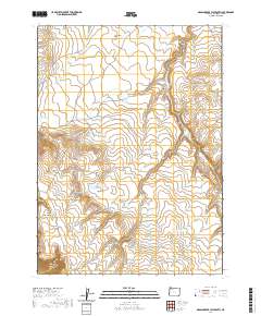 Grasshopper Flat South 2020 topographic map thumbnail