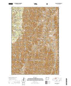 Haas Hollow 2020 topographic map thumbnail